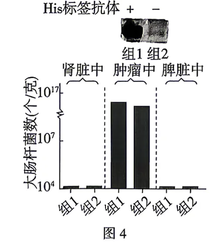 2026年四川省 生物学高考真题 文后附下载链接-第13张图片-四季读书网 2026年四川省 生物学高考真题 文后附下载链接-第13张图片-四季读书网