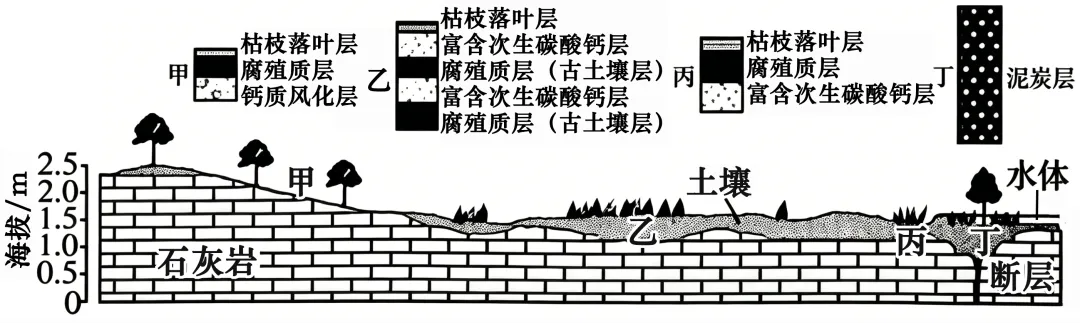 2026年山东卷地理真题(逍遥解)-第4张图片-四季读书网 2026年山东卷地理真题(逍遥解)-第4张图片-四季读书网
