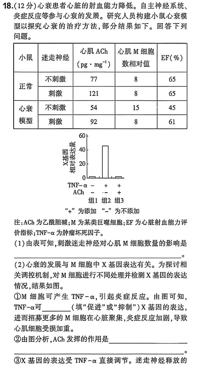 2026年四川卷真题分析18题—构建“A→B→C”的作用通路模型-第1张图片-四季读书网 2026年四川卷真题分析18题—构建“A→B→C”的作用通路模型-第1张图片-四季读书网