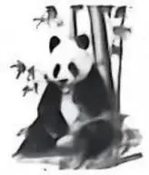 2026年山西中考-生物学-第2张图片-四季读书网