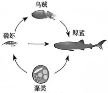 2026年山西中考-生物学-第6张图片-四季读书网