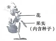 2026年山西中考-生物学-第7张图片-四季读书网