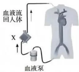 2026年山西中考-生物学-第8张图片-四季读书网