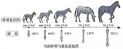 2026年山西中考-生物学-第9张图片-四季读书网