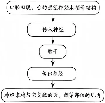 2026年山西中考-生物学-第12张图片-四季读书网