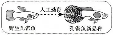 2026年山西中考-生物学-第13张图片-四季读书网