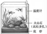 2026年山西中考-生物学-第15张图片-四季读书网