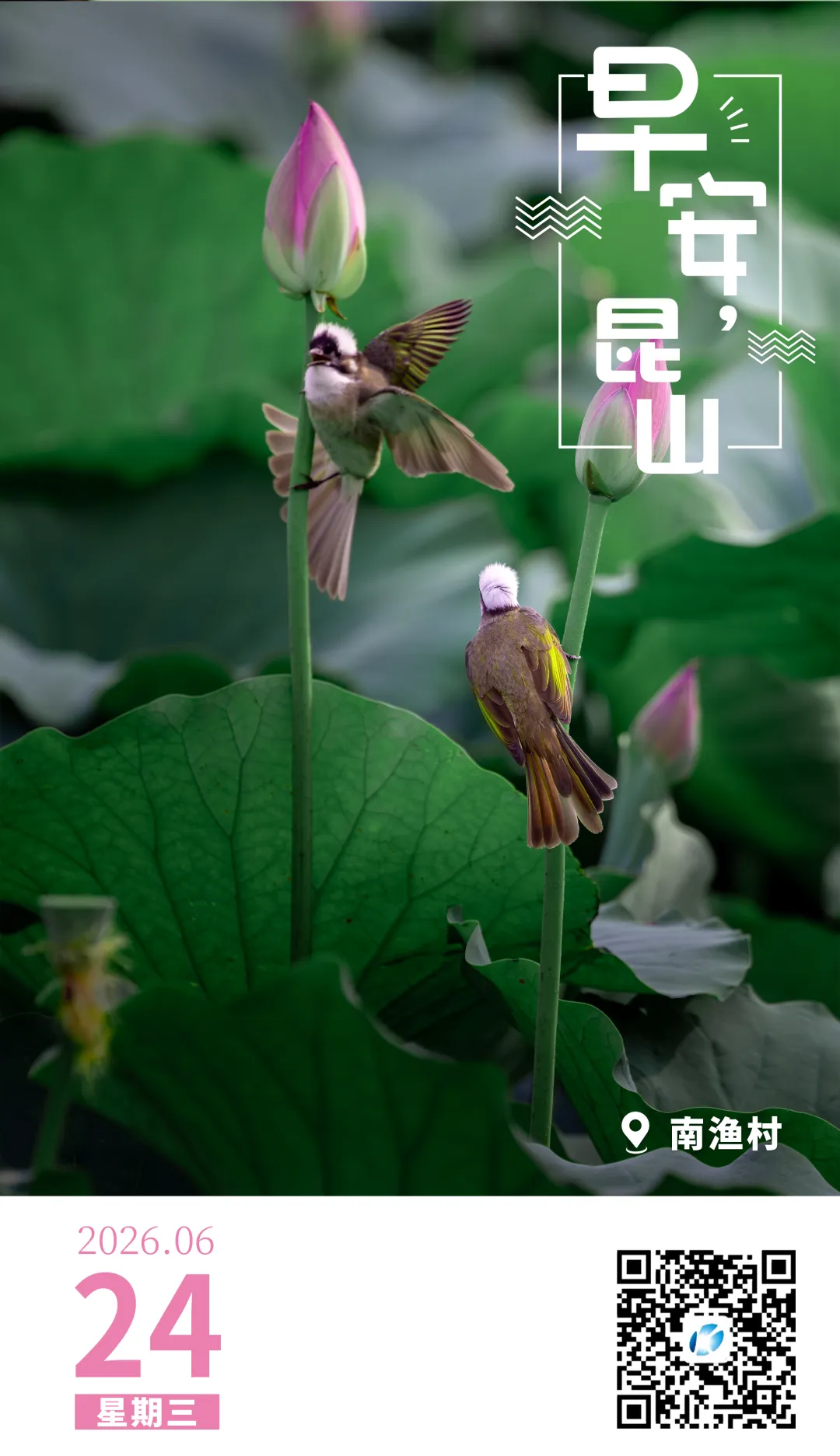 早安,昆山 || 中考查分时间定了-第2张图片-四季读书网 早安,昆山 || 中考查分时间定了-第2张图片-四季读书网
