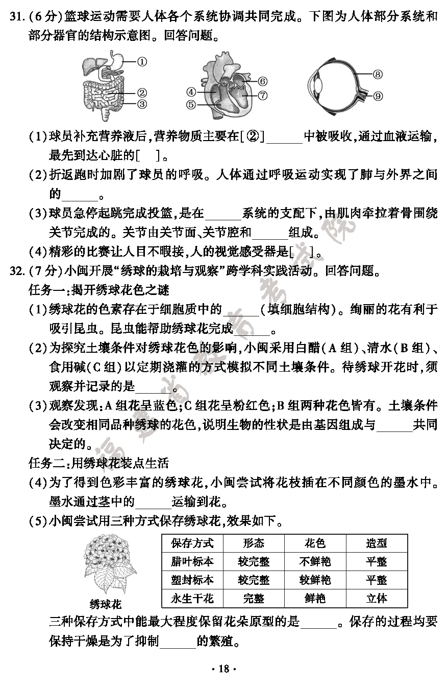 最新出炉|2026年福建小中考地理生物试卷与参考答案-第20张图片-四季读书网 最新出炉|2026年福建小中考地理生物试卷与参考答案-第20张图片-四季读书网