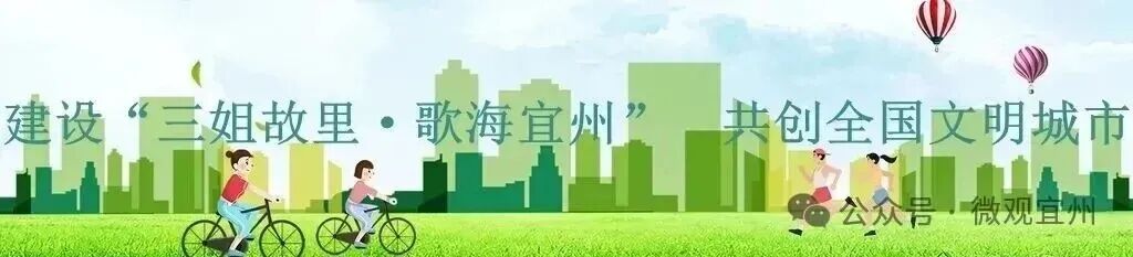 中考天气速递 | 乘风破浪,无惧风雨!宜州区中考期间天气请查收→-第1张图片-四季读书网 中考天气速递 | 乘风破浪,无惧风雨!宜州区中考期间天气请查收→-第1张图片-四季读书网