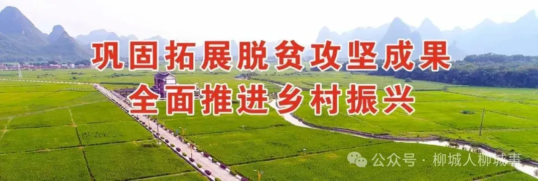 中考开考!柳城少年,加油!-第1张图片-四季读书网