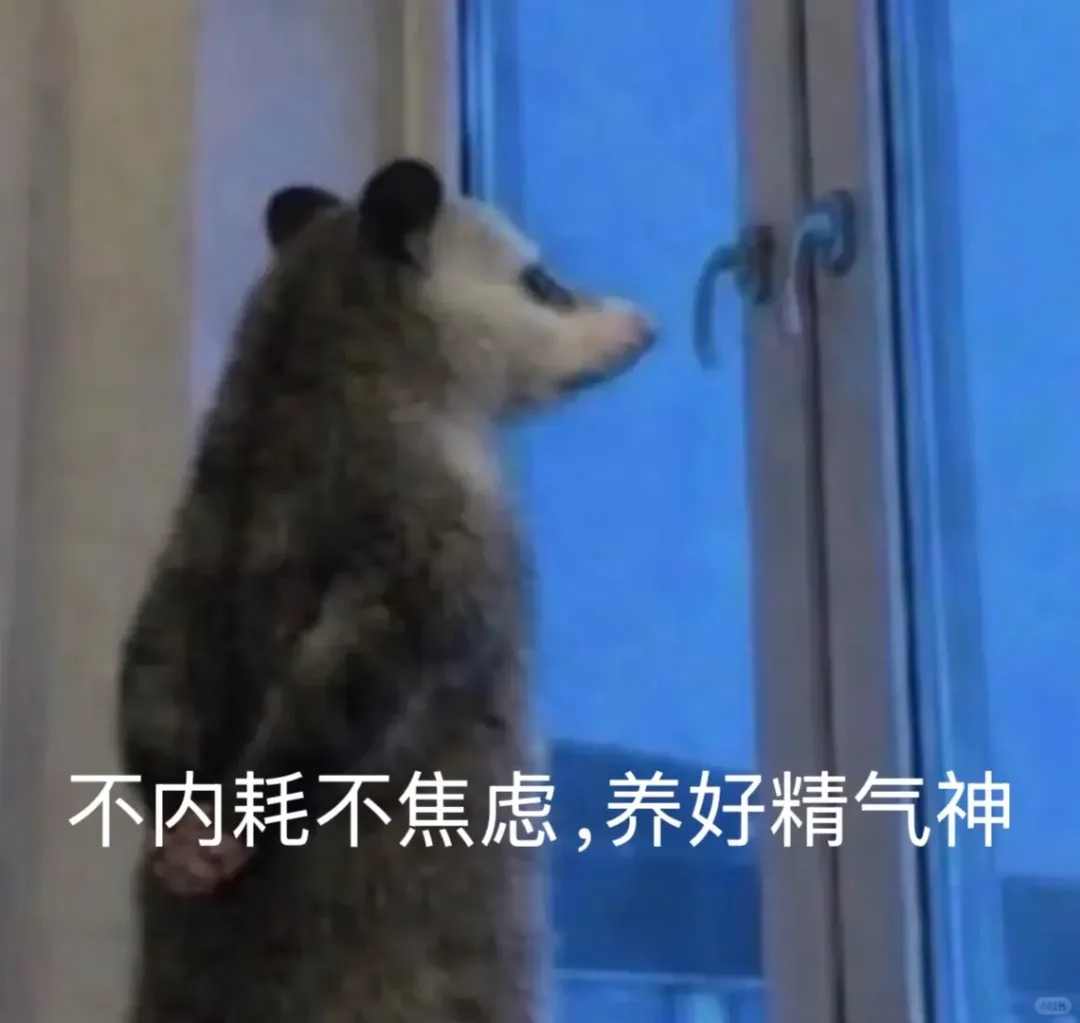 仑护青苗 | 中考结束!考生及家长必读→-第11张图片-四季读书网 仑护青苗 | 中考结束!考生及家长必读→-第11张图片-四季读书网