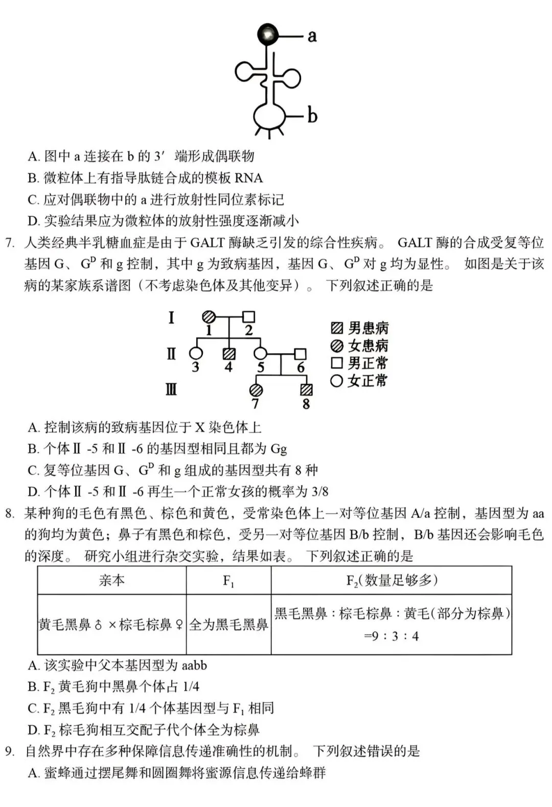 高考生物丨2026年贵州省高考生物学试卷-第2张图片-四季读书网