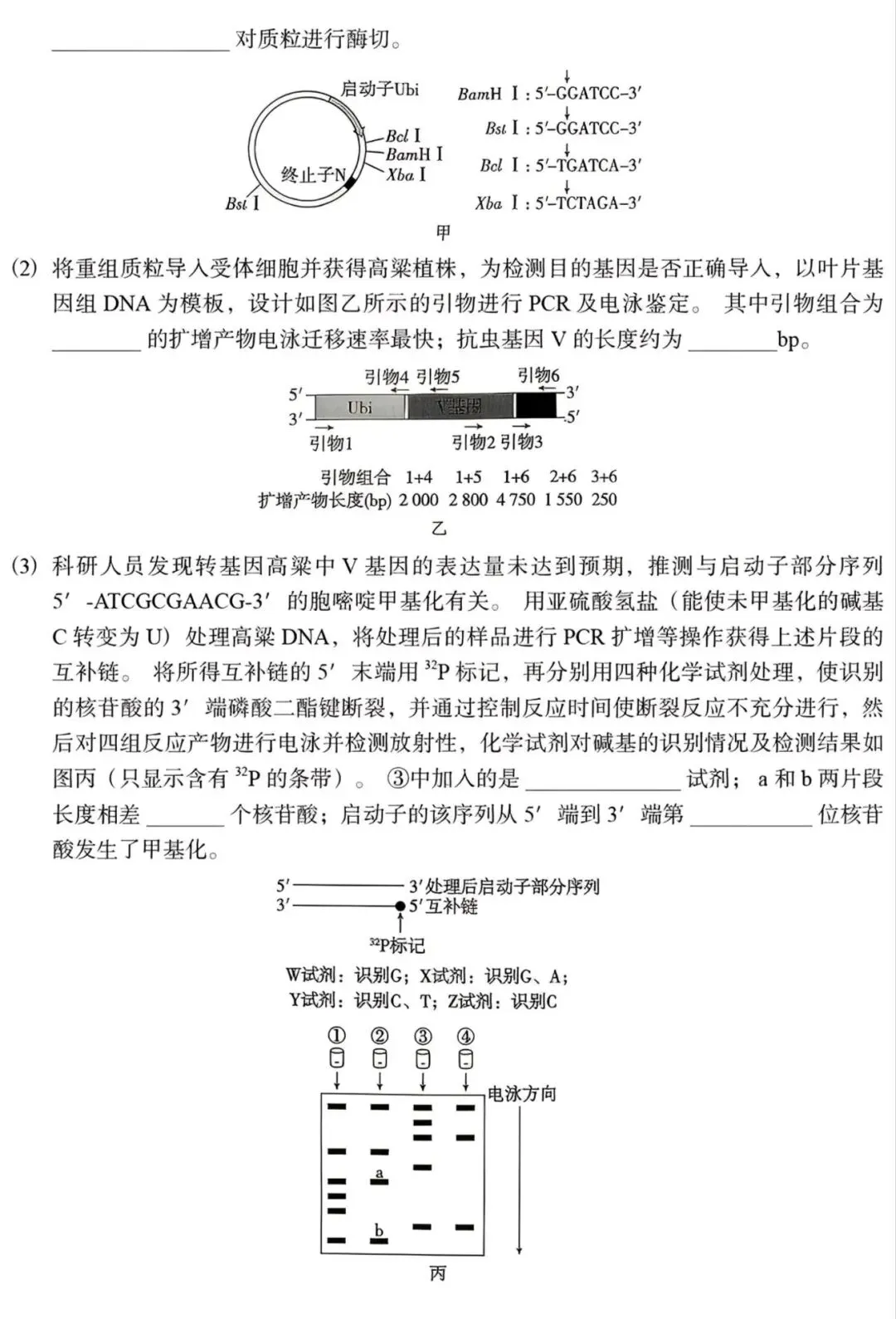 高考生物丨2026年贵州省高考生物学试卷-第7张图片-四季读书网