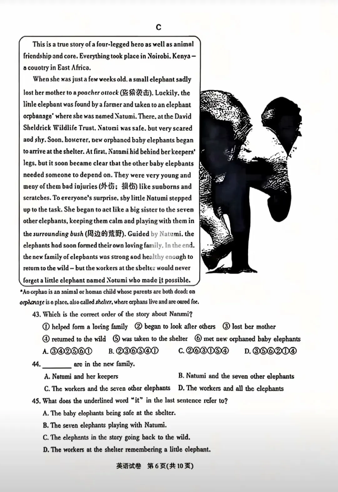 (中考英语)2026陕西中考英语试卷(含答案)-第6张图片-四季读书网