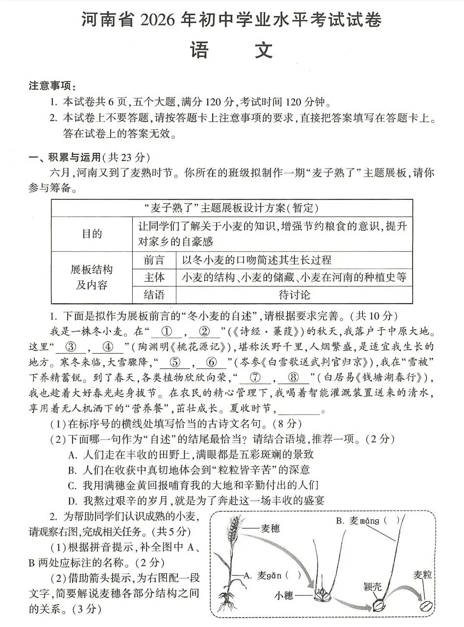 2026河南语文中考真题及答案-第1张图片-四季读书网