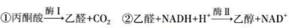 【高考真题】2026年山东省普通高考生物试题(山东卷带解析版)-第1张图片-四季读书网 【高考真题】2026年山东省普通高考生物试题(山东卷带解析版)-第1张图片-四季读书网