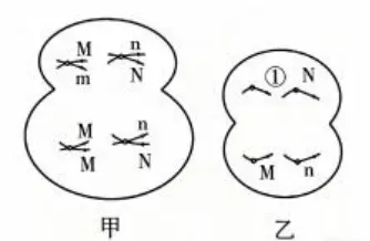 【高考真题】2026年山东省普通高考生物试题(山东卷带解析版)-第3张图片-四季读书网 【高考真题】2026年山东省普通高考生物试题(山东卷带解析版)-第3张图片-四季读书网