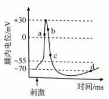 【高考真题】2026年山东省普通高考生物试题(山东卷带解析版)-第8张图片-四季读书网 【高考真题】2026年山东省普通高考生物试题(山东卷带解析版)-第8张图片-四季读书网