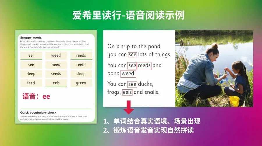 别再死背单词!从 2026 上海中考看趋势:真正拉分的是孩子的阅读思辨能力-第6张图片-四季读书网