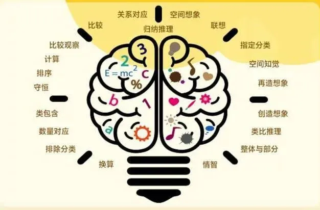 【第887期】齐冬妹:深研真题明方向,以研促教助成长 ——以2026年高考思想政治选择性必修三试题为例【1】-第6张图片-四季读书网 【第887期】齐冬妹:深研真题明方向,以研促教助成长 ——以2026年高考思想政治选择性必修三试题为例【1】-第6张图片-四季读书网