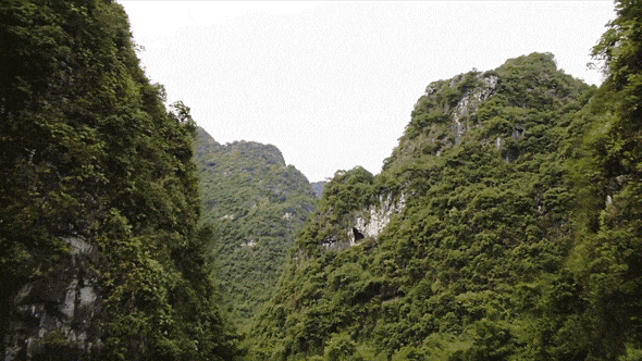 6.28-6.30中考假专场!【英西探险】3日独立营|天然岩壁攀岩,探秘峰林溶洞,森林夜观,溯源茶文化......给孩子一个野趣十足的成长挑战!-第3张图片-四季读书网