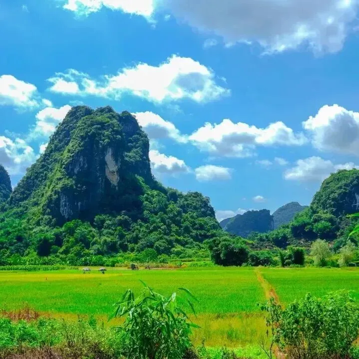 6.28-6.30中考假专场!【英西探险】3日独立营|天然岩壁攀岩,探秘峰林溶洞,森林夜观,溯源茶文化......给孩子一个野趣十足的成长挑战!-第5张图片-四季读书网