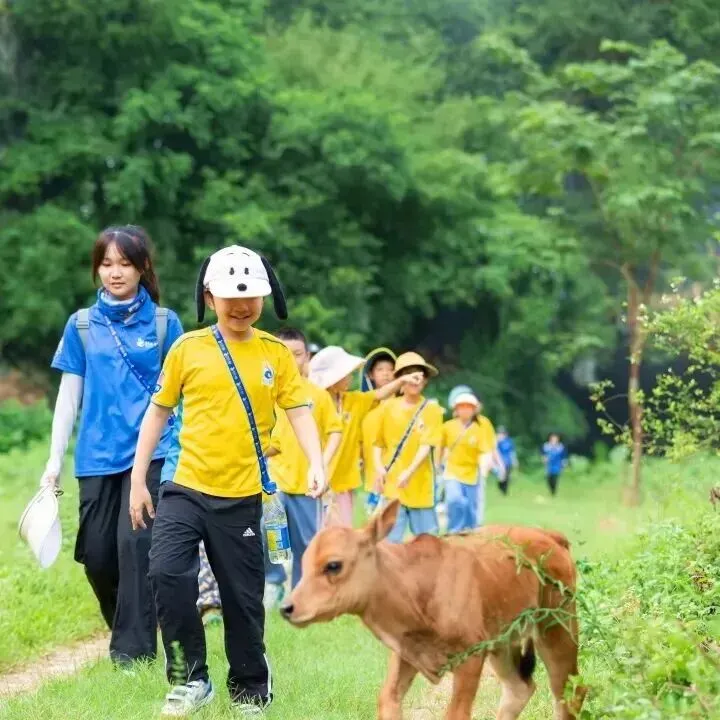 6.28-6.30中考假专场!【英西探险】3日独立营|天然岩壁攀岩,探秘峰林溶洞,森林夜观,溯源茶文化......给孩子一个野趣十足的成长挑战!-第6张图片-四季读书网