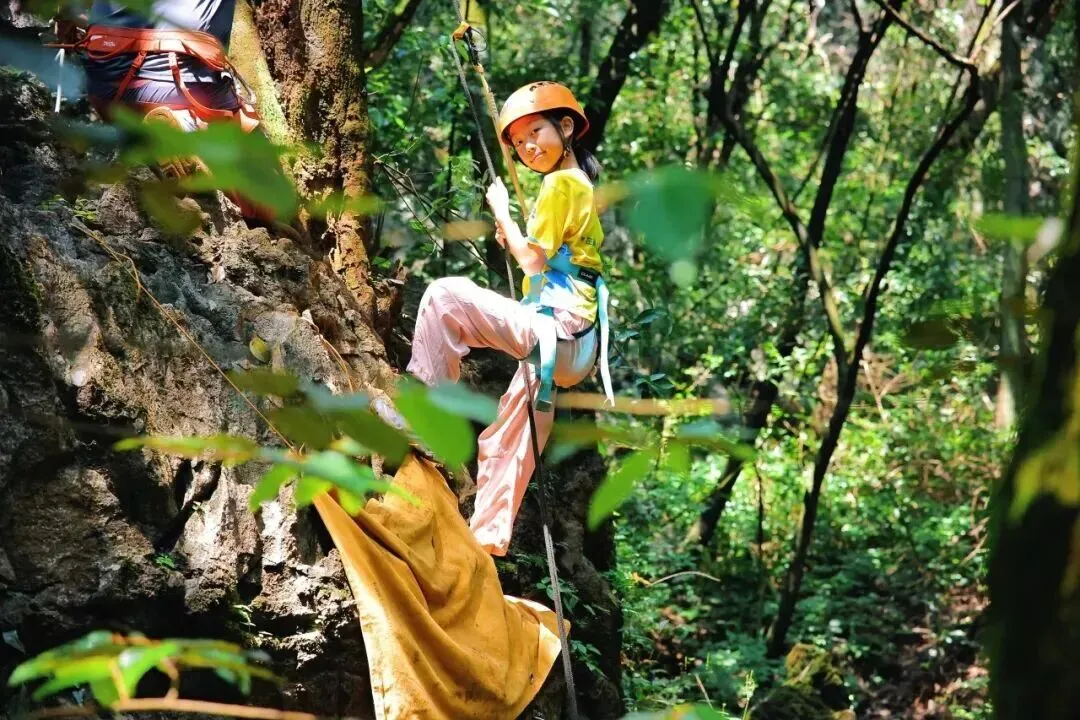 6.28-6.30中考假专场!【英西探险】3日独立营|天然岩壁攀岩,探秘峰林溶洞,森林夜观,溯源茶文化......给孩子一个野趣十足的成长挑战!-第8张图片-四季读书网