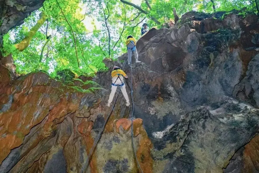6.28-6.30中考假专场!【英西探险】3日独立营|天然岩壁攀岩,探秘峰林溶洞,森林夜观,溯源茶文化......给孩子一个野趣十足的成长挑战!-第24张图片-四季读书网