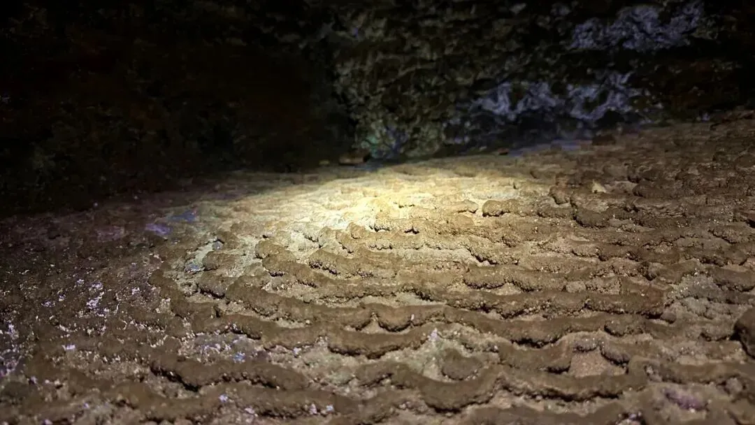 6.28-6.30中考假专场!【英西探险】3日独立营|天然岩壁攀岩,探秘峰林溶洞,森林夜观,溯源茶文化......给孩子一个野趣十足的成长挑战!-第27张图片-四季读书网