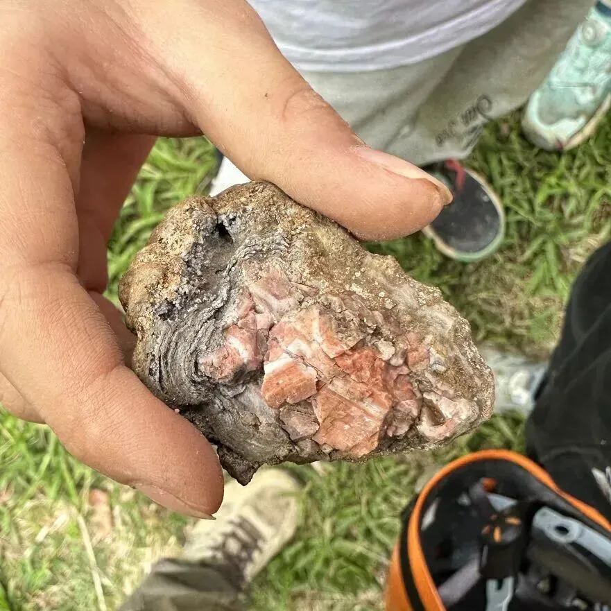 6.28-6.30中考假专场!【英西探险】3日独立营|天然岩壁攀岩,探秘峰林溶洞,森林夜观,溯源茶文化......给孩子一个野趣十足的成长挑战!-第30张图片-四季读书网