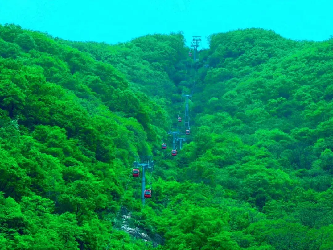 中考刚刚结束,你会有怎样的人生?-第5张图片-四季读书网 中考刚刚结束,你会有怎样的人生?-第5张图片-四季读书网