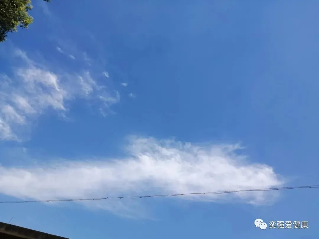 中考结束的日子-第1张图片-四季读书网 中考结束的日子-第1张图片-四季读书网