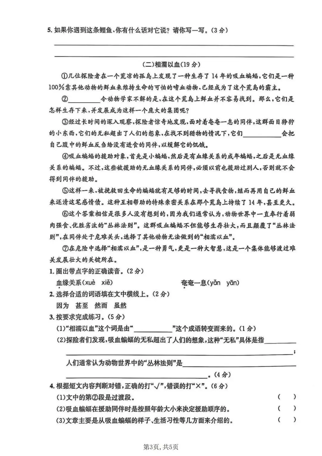 26年新五年级语文下册【期末真题模拟测试卷、全真测评卷】,电子版可打印(5套含答案)-第20张图片-四季读书网