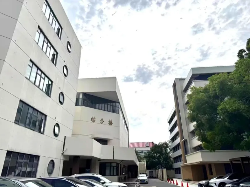 中考出路不只一条!公办基因、市中心区位,这所融合高中如何带孩子走出升学新路?-第9张图片-四季读书网 中考出路不只一条!公办基因、市中心区位,这所融合高中如何带孩子走出升学新路?-第9张图片-四季读书网