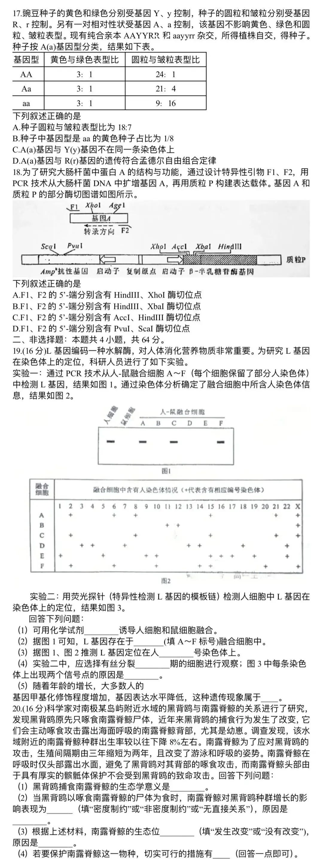 【高考真题】2026年湖北卷(无答案)-第3张图片-四季读书网