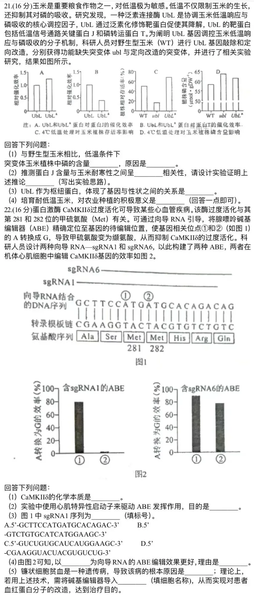 【高考真题】2026年湖北卷(无答案)-第4张图片-四季读书网