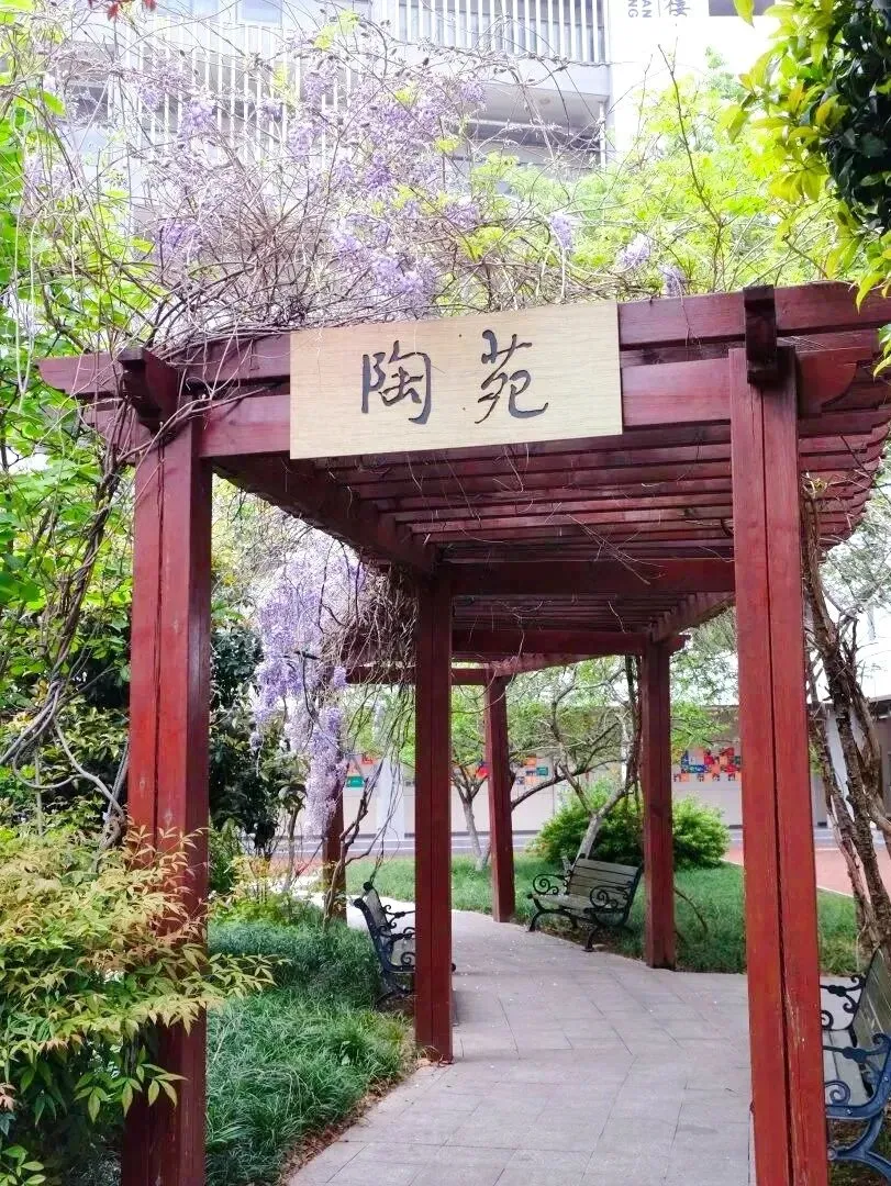 凭中考成绩择优录取!苏州新草桥中学2026高中部招生简章发布-第64张图片-四季读书网 凭中考成绩择优录取!苏州新草桥中学2026高中部招生简章发布-第64张图片-四季读书网