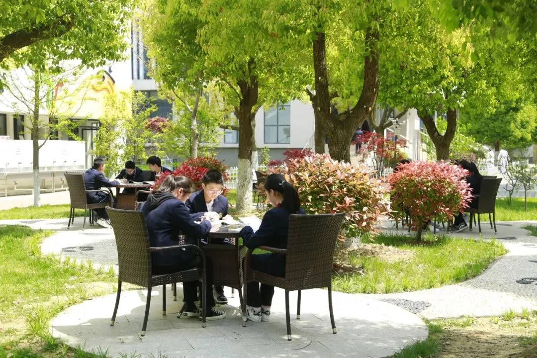凭中考成绩择优录取!苏州新草桥中学2026高中部招生简章发布-第65张图片-四季读书网 凭中考成绩择优录取!苏州新草桥中学2026高中部招生简章发布-第65张图片-四季读书网