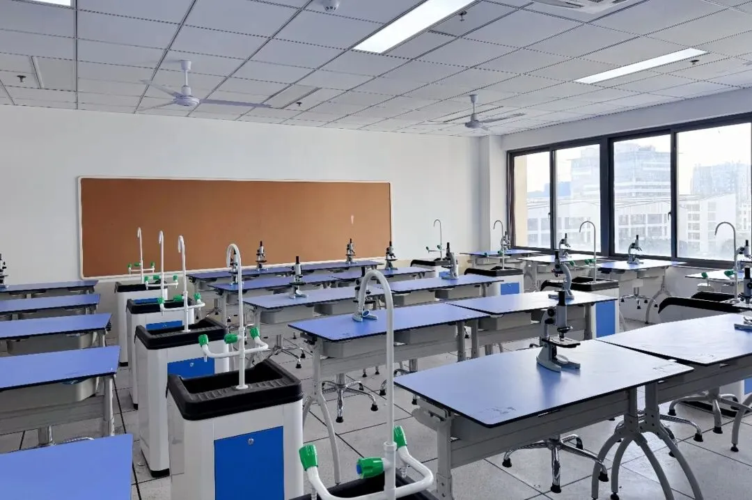 凭中考成绩择优录取!苏州新草桥中学2026高中部招生简章发布-第68张图片-四季读书网 凭中考成绩择优录取!苏州新草桥中学2026高中部招生简章发布-第68张图片-四季读书网