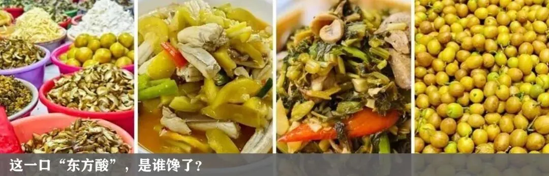 明日中考,东方天气提前看→-第14张图片-四季读书网 明日中考,东方天气提前看→-第14张图片-四季读书网