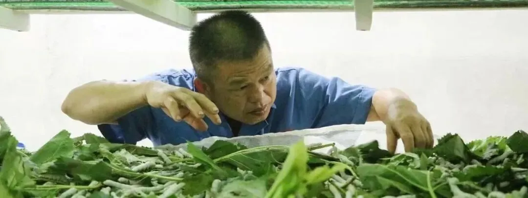 区领导巡查2026年中考考务工作-第10张图片-四季读书网
