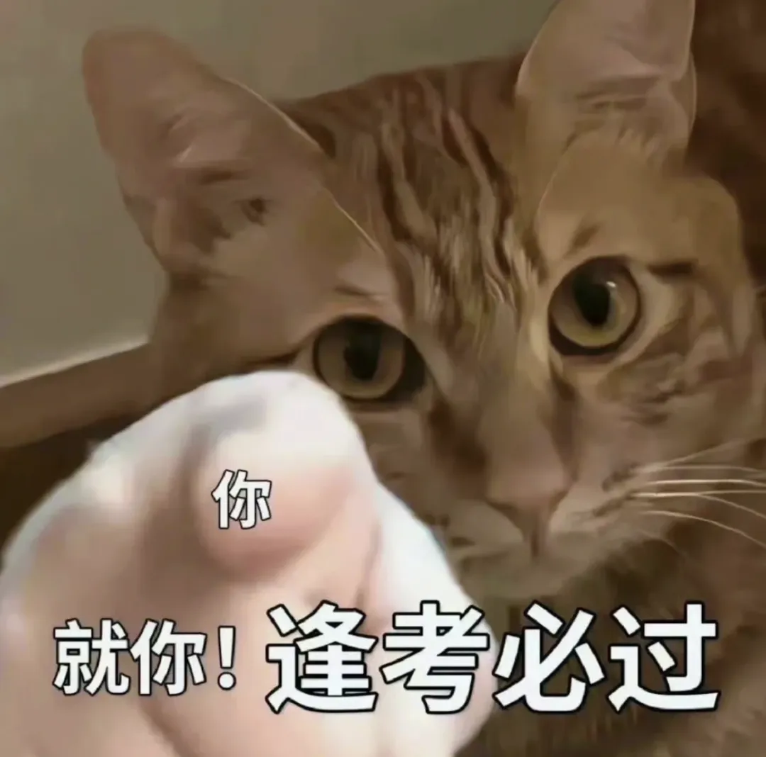 中考分流全攻略—给苏州家长和考生的择校指南-第15张图片-四季读书网 中考分流全攻略—给苏州家长和考生的择校指南-第15张图片-四季读书网