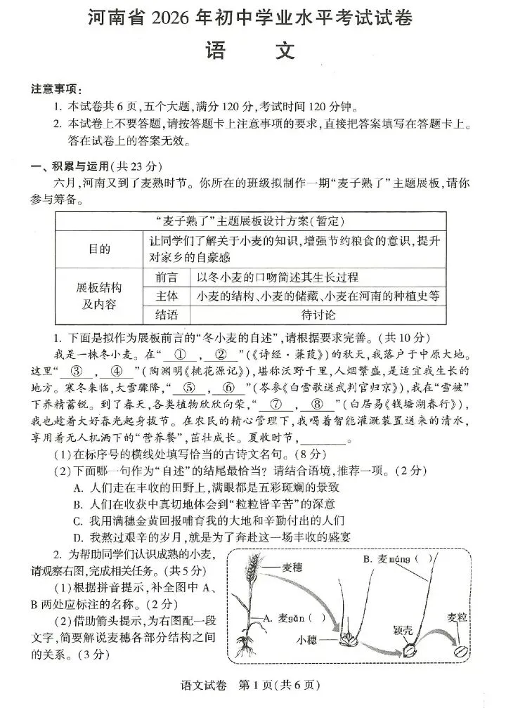 2026河南中考语文真题曝光!"麦子熟了"遇上AI"词元",这份试卷太"潮"了!-第3张图片-四季读书网 2026河南中考语文真题曝光!"麦子熟了"遇上AI"词元",这份试卷太"潮"了!-第3张图片-四季读书网