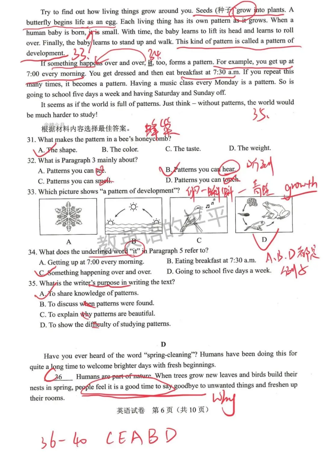 2026河南中考英语真题解析出炉!这些坑千万别踩-第6张图片-四季读书网