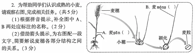 河南2026年中考语文试卷及答案-第2张图片-四季读书网