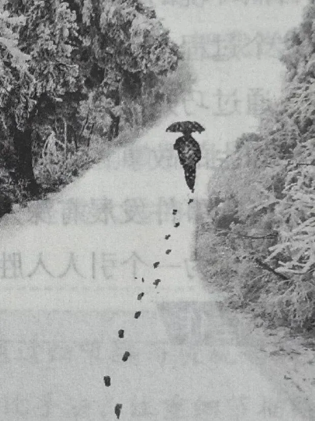 中考真题馆 | 语言简明(七下第六单元)-第9张图片-四季读书网 中考真题馆 | 语言简明(七下第六单元)-第9张图片-四季读书网