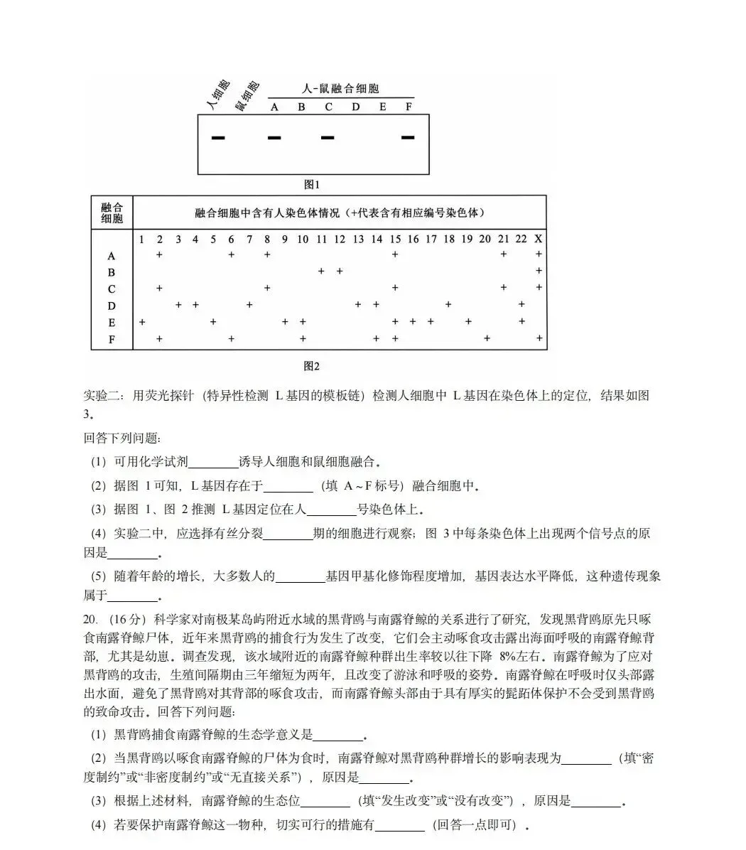 2026年湖北省高考真题生物学-第6张图片-四季读书网