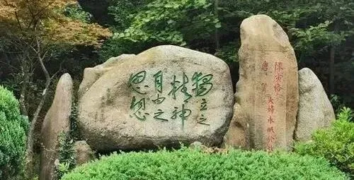 解题丨No.916 2026年云南中考数学试卷-第10张图片-四季读书网